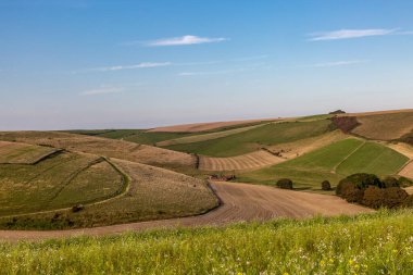 Güneşli bir akşamda Güney Tepelerinde Balsdean Bottom 'a doğru bir manzara