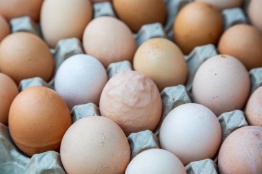 Tepside bir tepsi tavuk yumurtası, seçici odaklı.