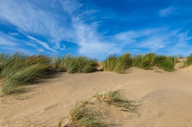 Sand dunes at Camber in Sussex on a sunny September day