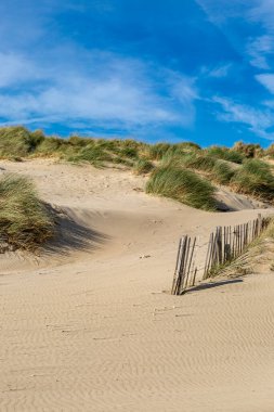 Marram grass covered sand dunes with a blue sky overhead