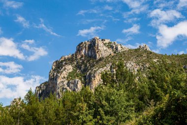 Green trees and the rugged Kyrenia mountains in Northern Cyprus