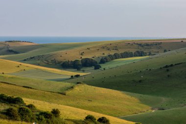 Looking out over a rolling South Downs landscape towards the  Sussex coast, with a blue sky overhead