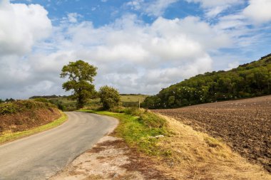Batı Sussex 'te tarlalarla çevrili bir köy yolu.