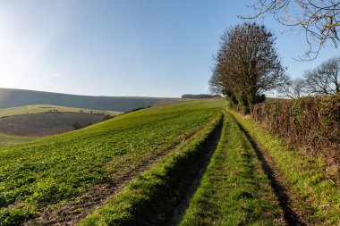 Sussex kırsalında güneşli bir ocak gününde, tarım arazisi yolundan bakan bir manzara.