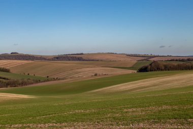 Üzerinde mavi gökyüzü olan kırsal bir Sussex manzarası