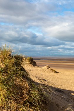 Güneşli bir günde Merseyside kıyısındaki Formby sahiline bakıyorum.