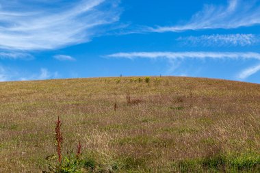 Üzerinde mavi gökyüzü olan Wight Adası kırsalında.