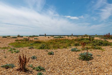 Güneşli bir yaz gününde Newhaven 'daki çakıl taşı plajının üstünde bir manzara.