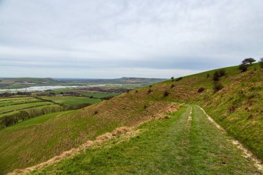 Güney Downs 'da bir çim patikasına bakıyorum, kışın sonlarına doğru.