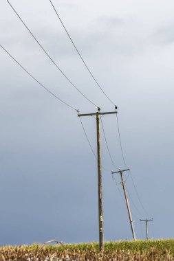 Sussex kırsalındaki telgraf direklerinin düşük açılı görüntüsü