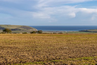 Ön planda tarım arazisi olan Sussex sahili manzarası
