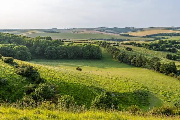 stock image Looking out over the South Downs on a sunny summer's evening