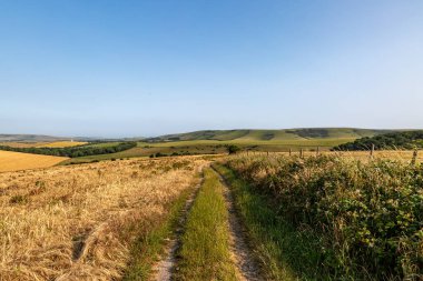 Uzaktaki Kingston Ridge ile Güney Tepeleri 'nde bir patikaya bakıyorum.