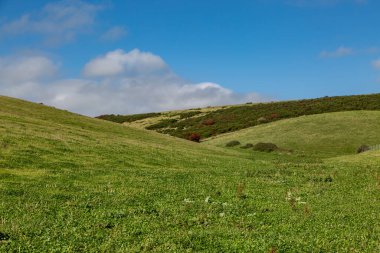 Güneşli bir günde Güney Downs manzarası