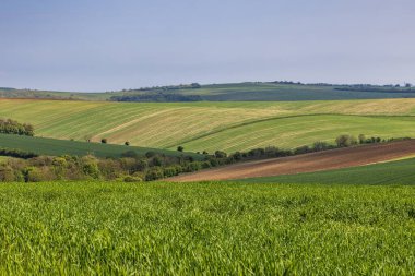 Gökyüzünde mavi bir gökyüzü olan cennet gibi bir güney manzarasına bakıyorum.