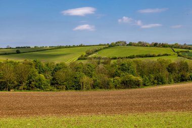 Güneşli bir mayıs sabahında kırsal Güney Tepeleri manzarası