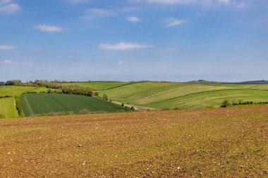 Sussex 'te bahar manzaralı, tepede mavi bir gökyüzü var.