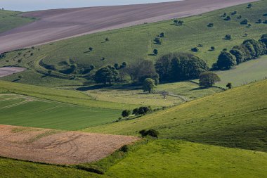 Sussex 'teki Kingston Ridge' den South Downs manzarasına bakıyorum.