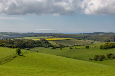 Güneşli bir bahar sabahı Ditchling Beacon 'da yuvarlanan bir Güney Downs manzarası.