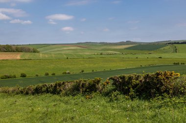 Güneşli bir bahar gününde Sussex kırsalındaki tarım alanlarına bakıyorum.