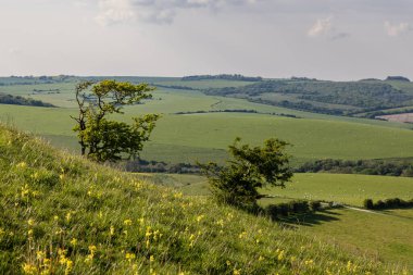 Güneşli bir bahar gününde Kingston Ridge 'den Güney Downs' daki tarım arazilerine bakıyorum.