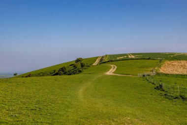 Güneşli bir bahar gününde, South Downs 'daki Kingston Ridge manzarası.