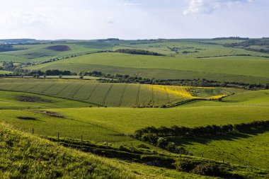 Looking out over a vast South Downs landscape on a sunny spring day clipart