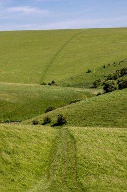 Güneşli bir bahar gününde dalgalı bir Sussex arazisinde çimen yolu boyunca bakıyorum.