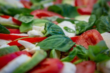 Renkli bir tabak domates, fesleğen, avokado ve mozzarella.