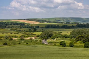 Güneşli bir yaz gününde Güney Downs kırsalının manzarasına bakıyorum.