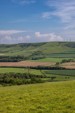Glynde yakınlarındaki bir yamaçtan Güney Tepelerindeki Firle Beacon 'a doğru bakıyorum.