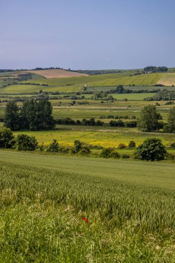 Güneşli bir yaz gününde Güney Downs manzarası