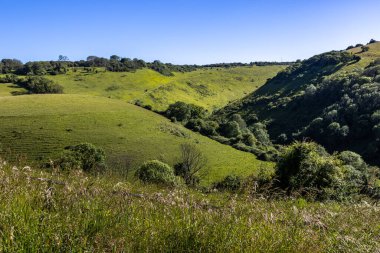 Batı Sussex 'teki Fulking' de yeşil bir araziye bakıyorum.