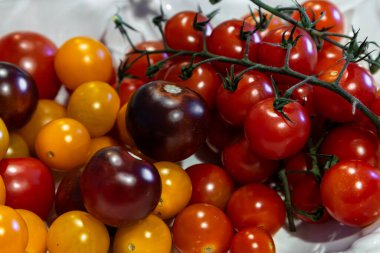 Bir kasede kırmızı ve sarı domatesler, seçici odaklı.