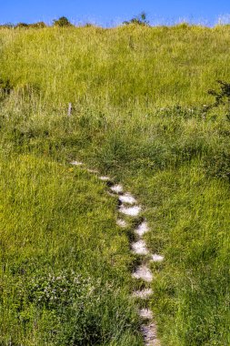 Güneşli bir yaz gününde Güney Tepeleri 'nde çimenli bir yamaca giden tebeşir yolu.