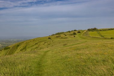 Güneşli bir yaz akşamında, Güney Downs Yolu boyunca Ditchling Beacon 'ın manzarası