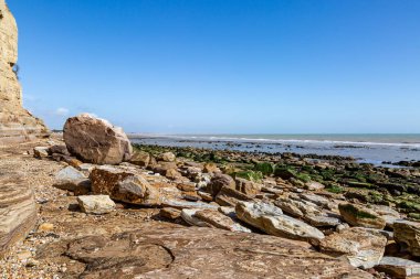 Pett Düzey Sahili 'nde kayalıkları ve kaya oluşumlarını gören alçak gelgit.