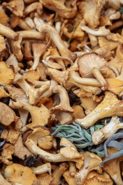 Chanterelle mantarlarının bir pazarda satılığa çıkarılmış, seçici odaklı tam kare fotoğrafı.
