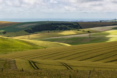 Fulking Hill yakınlarındaki Güney Downs 'ta Sussex sahiline doğru uzanan tarlalara bakıyorum.