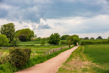 Sussex kırsalında bir patika boyunca bakıyorum, etrafını saran tarlalar var.