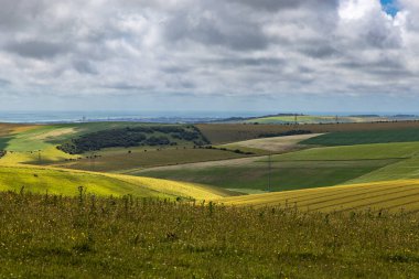 Bir yaz günü süzülen Sussex manzarasına bakıyorum.