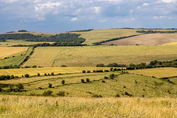 stock image A rural Sussex farm landscape on a July afternoon