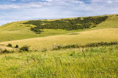 Güneşli bir yaz gününde Kingston Ridge 'e doğru bir çayır ve tarım arazisi manzarası.