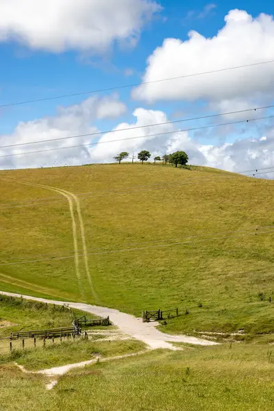 stock image A rural South Downs view of a chalk pathway and green hillside