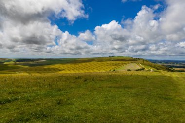 Sussex 'teki Fulking Tepesi' nin yakınındaki güney çıkışları boyunca.