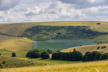 Güneşli bir yaz gününde, Güney Downs 'da bir tarım arazisi manzarası