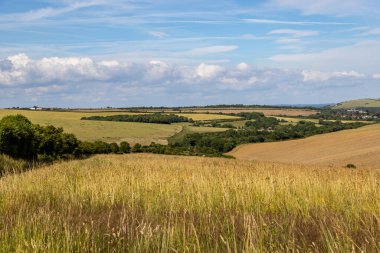 Sussex kırsalında bir yaz günü tarlalar
