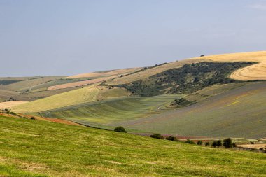 Bir yaz günü Sussex manzarasına bakıyorum. Çiçekler ve tahıl ekinleri yamaçlara renk katıyor.