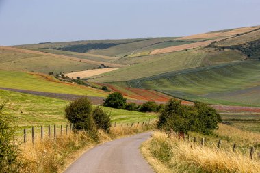 Renkli, yuvarlanan Sussex manzarasına doğru dar bir kırsal yol boyunca bakıyorum.