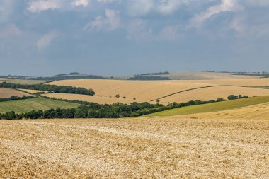 Bir yaz gününde, mavi gökyüzünün altında tarlaları sürülen yuvarlanan bir Sussex manzarası.